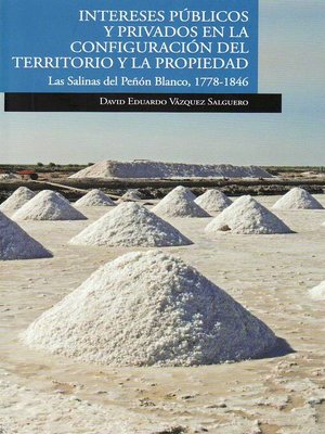 cover image of Intereses públicos y privados en la configuración del territorio y la propiedad